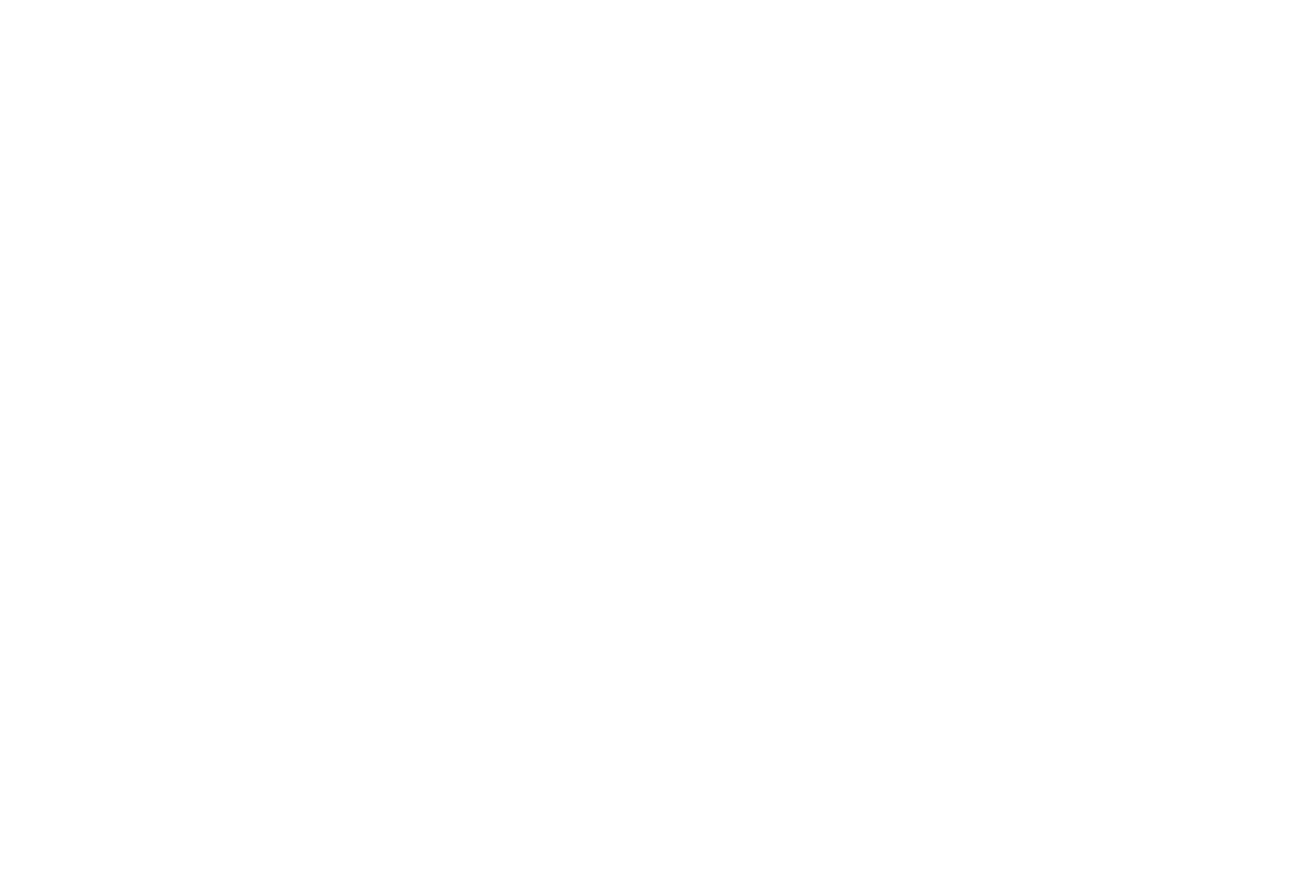 Auto Incidentate Torino